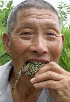 man eats tree frogs.jpg
